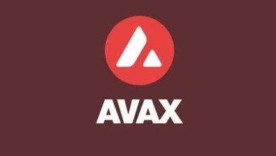 Unleashing the AVAX Stand