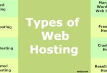 Web hosting