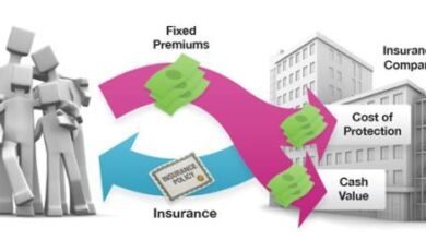 Whole Life Insurance