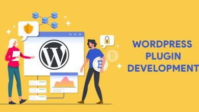what is wordpress developer