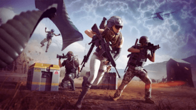 Pubg ban news